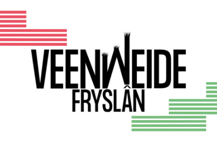 Logo van Veenweide Fryslân met gekleurde huisstijlelementen